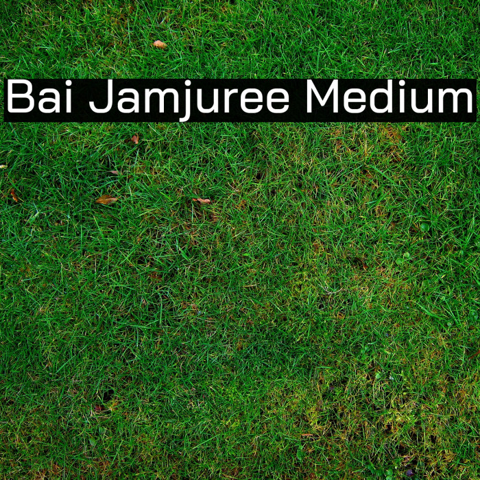 Bai Jamjuree Medium Font examples