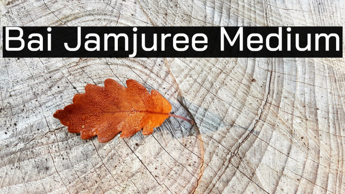Bai Jamjuree Medium Font examples