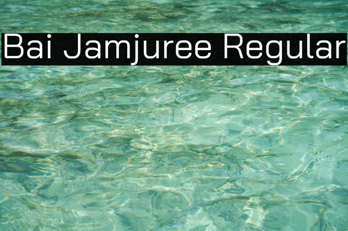 Bai Jamjuree Regular Font examples