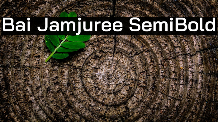 Bai Jamjuree SemiBold Font examples