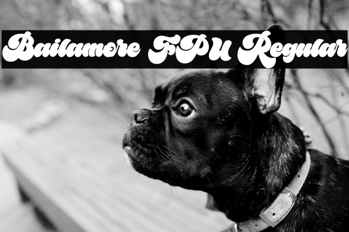 Bailamore FPU Regular Example 1