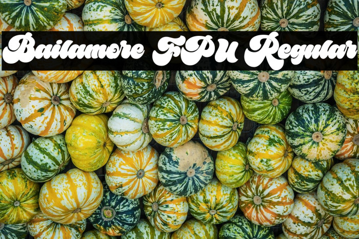 Bailamore FPU Regular Example 2