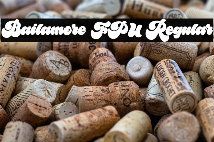 Bailamore FPU Regular Example 3