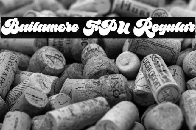 Bailamore FPU Regular Example 3