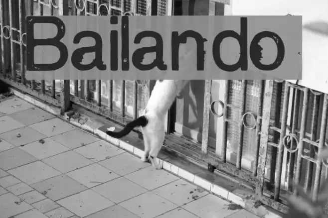 Bailando フォント examples