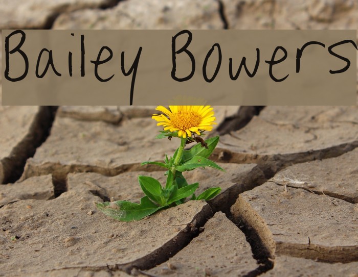 Bailey Bowers Font examples