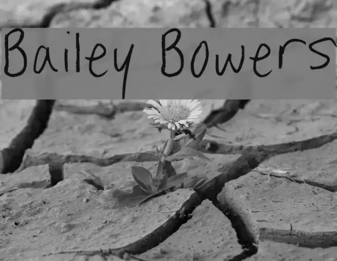 Bailey Bowers Шрифта examples