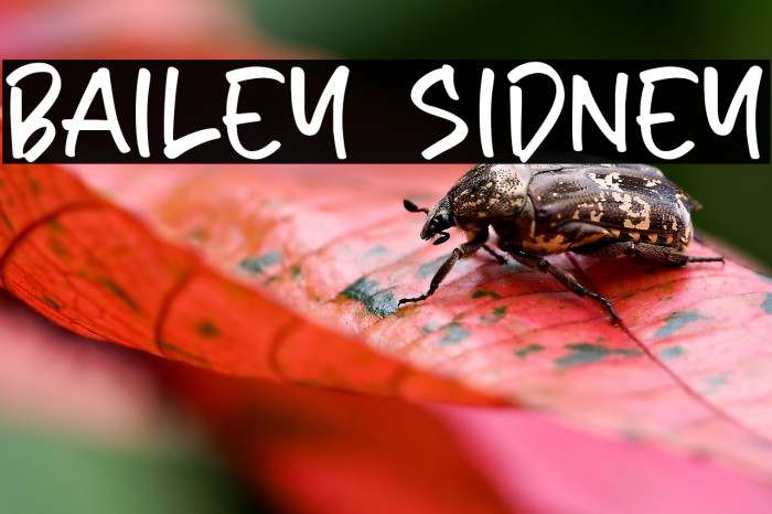 Bailey Sidney Example 1