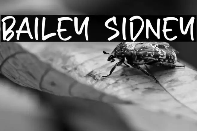 Bailey Sidney Example 1