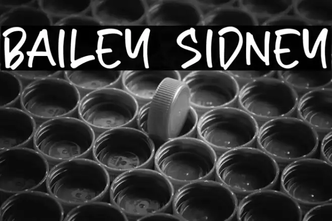 Bailey Sidney Example 2