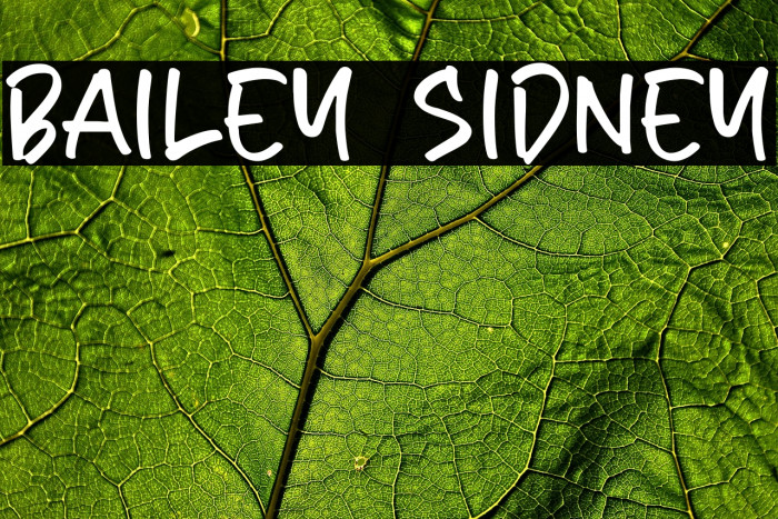 Bailey Sidney Example 3