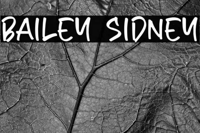 Bailey Sidney Example 3