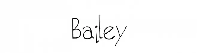 Bailey  Frei Schriftart Herunterladen