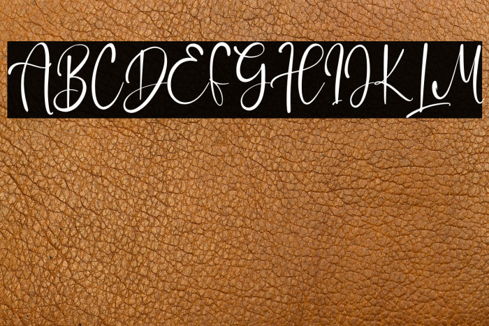 BaileyScript Example 3