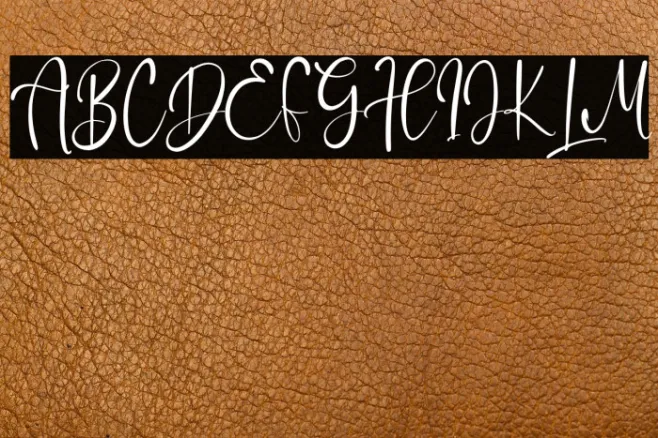 BaileyScript Example 3