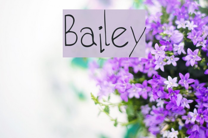 Bailey Font examples