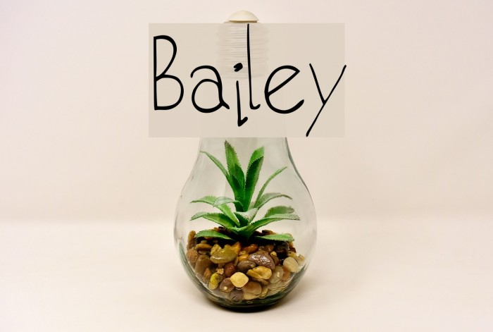 Bailey Font examples