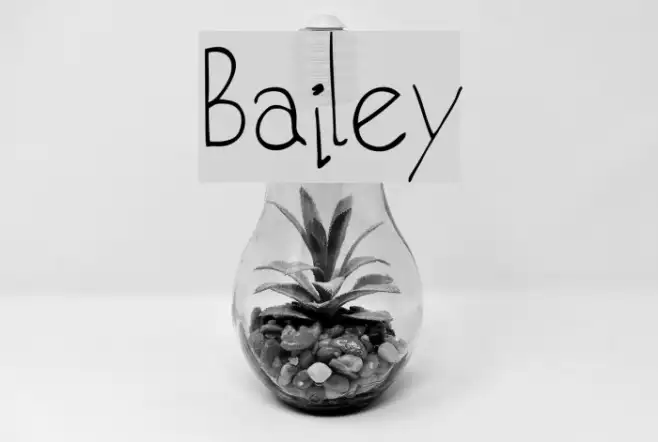Bailey Example 2