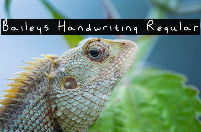 Baileys Handwriting Regular Font examples