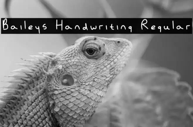 Baileys Handwriting Regular फ़ॉन्ट examples