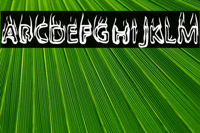 BaileysCar-Regular Example 3