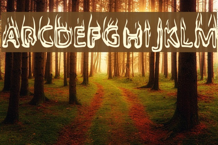 BaileysCar Font examples