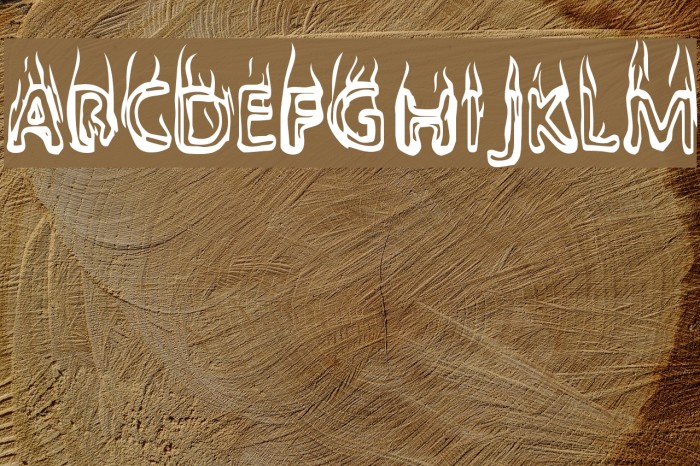 BaileysCar Font examples