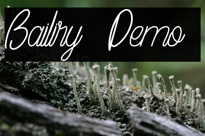 Bailiry [Demo] Example 1