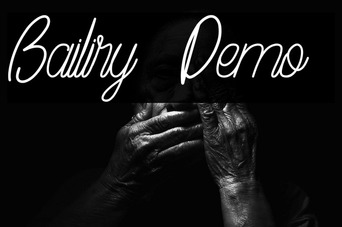 Bailiry [Demo] Example 2