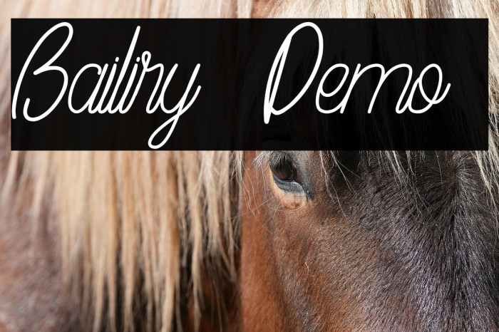 Bailiry [Demo] Example 3