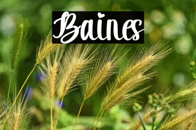 Baines Example 3