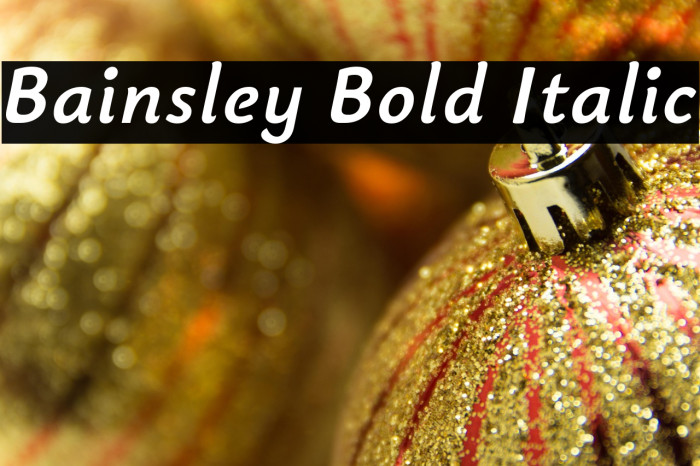 Bainsley Bold Italic Example 1