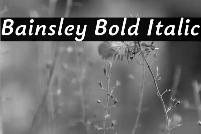 Bainsley Bold Italic Font examples