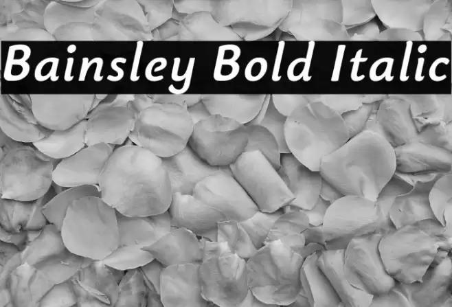 Bainsley Bold Italic Font examples