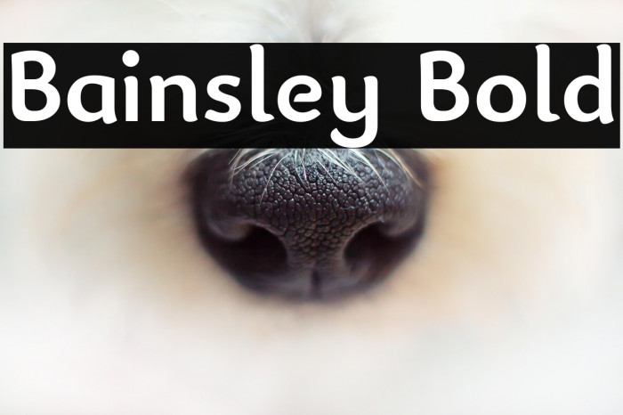 Bainsley Bold Example 2
