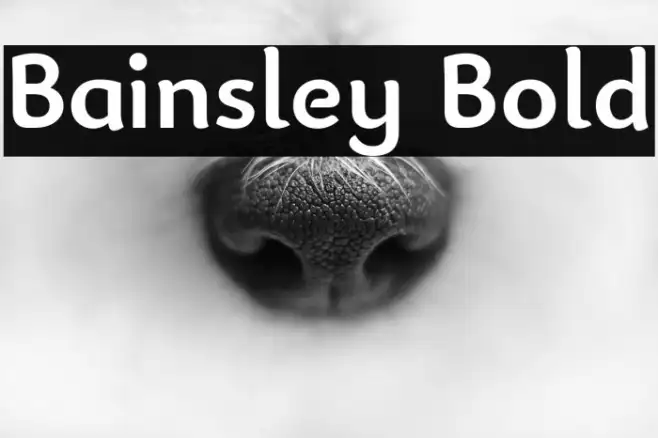 Bainsley Bold Example 2