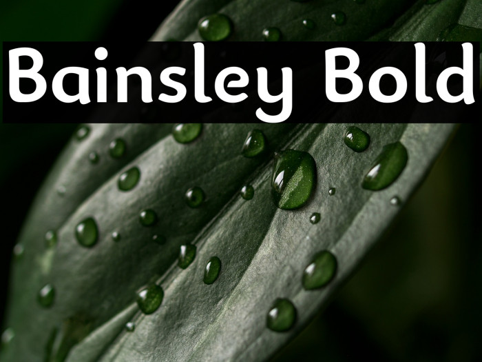 Bainsley Bold Example 3
