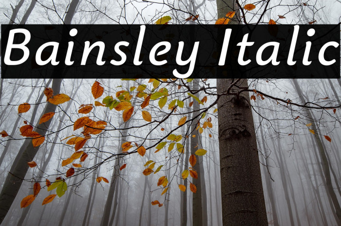 Bainsley Italic Example 3