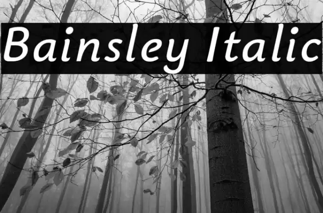 Bainsley Italic Font examples