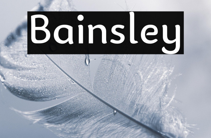 Bainsley Example 1