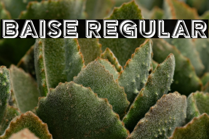 Baise Regular Example 1