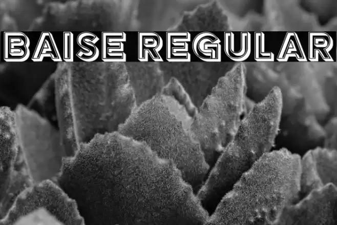 Baise Regular Font examples