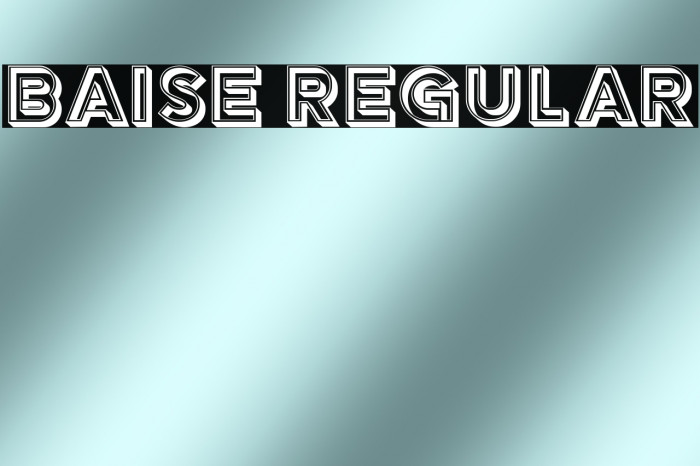 Baise Regular Example 3