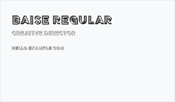 Baise Regular Business Card