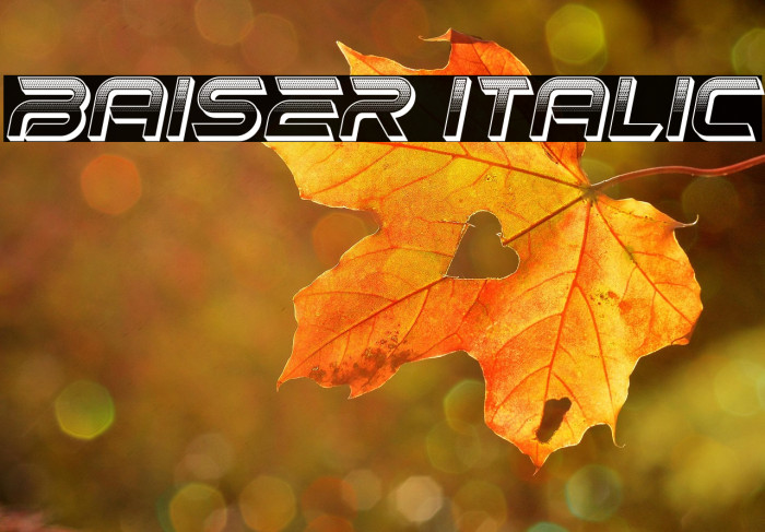 Baiser Italic Example 2