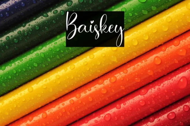 Baiskey Example 3