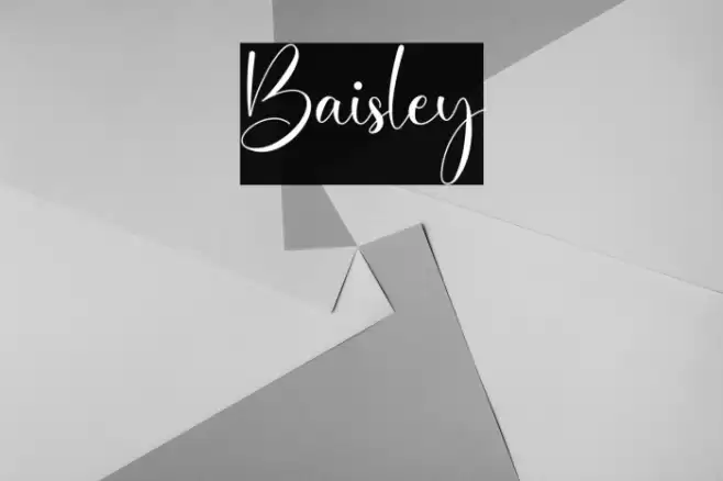 Baisley Font examples