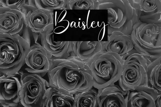 Baisley Font examples