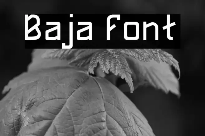 Baja Example 1