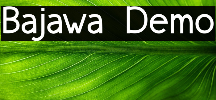 Bajawa Demo Example 1